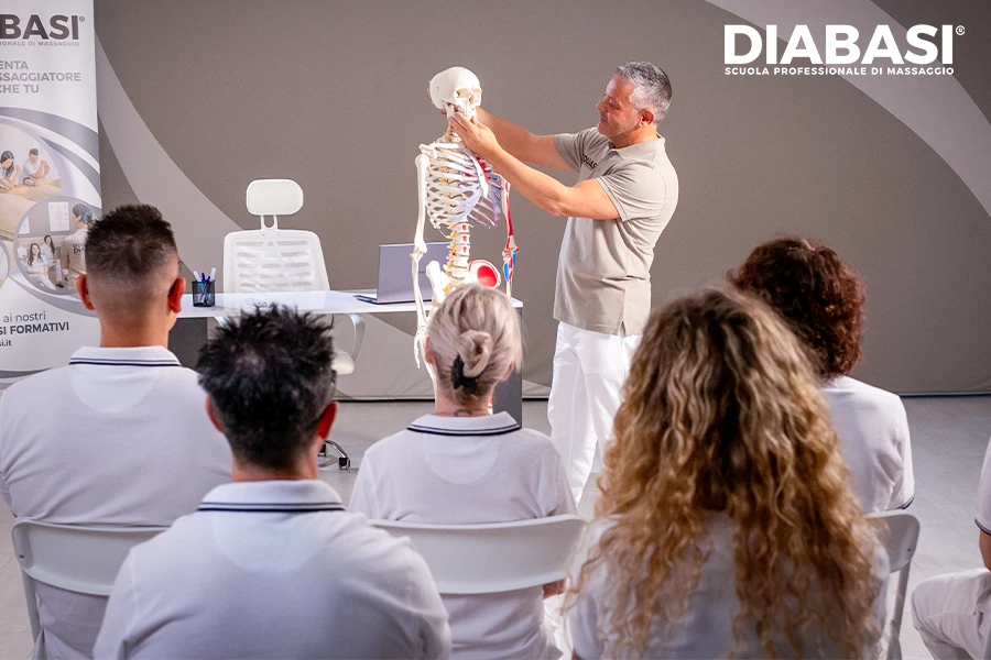 Diploma di 3° Livello DIABASI® – Operatore Professionale Avanzato in Massaggio Massoterapico del Benessere durante una lezione di anatomia applicata