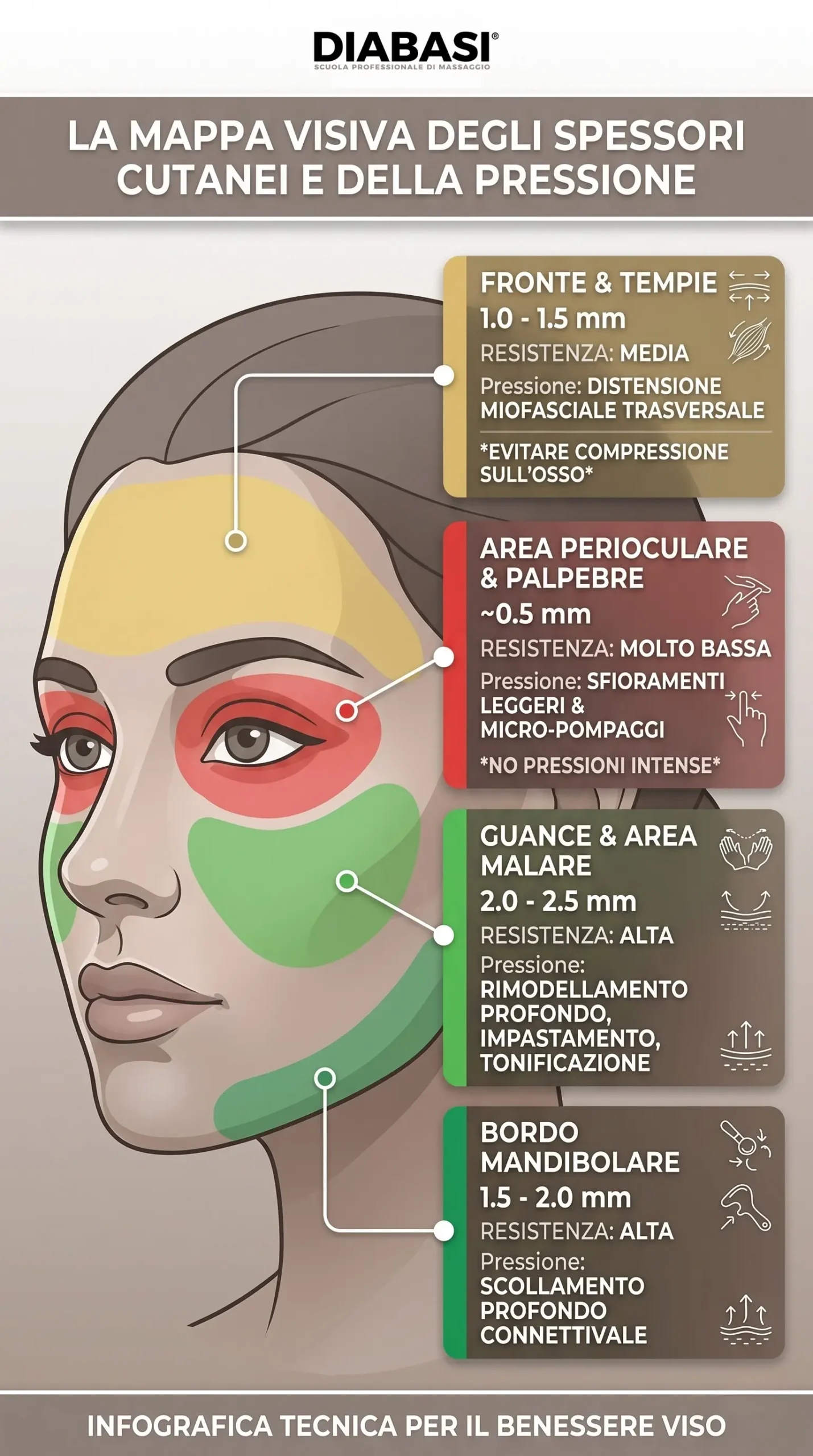Infografica con la mappa visiva degli spessori cutanei del viso e la calibrazione della pressione per il massaggio viso lifting. diabasi scuola professionale di massaggio