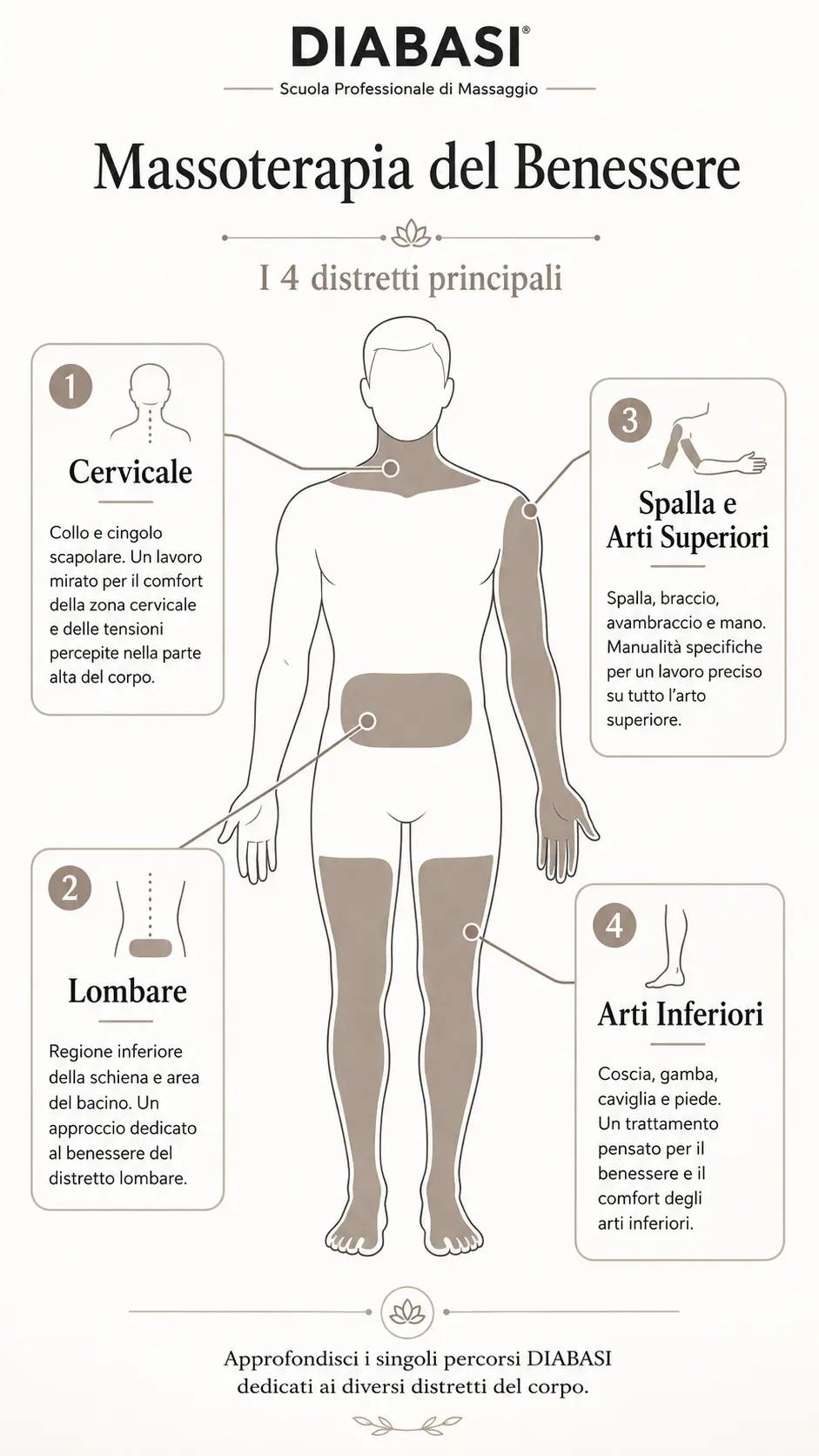 Infografica sui 4 distretti della Massoterapia del Benessere: cervicale, lombare, arti superiori e arti inferiori