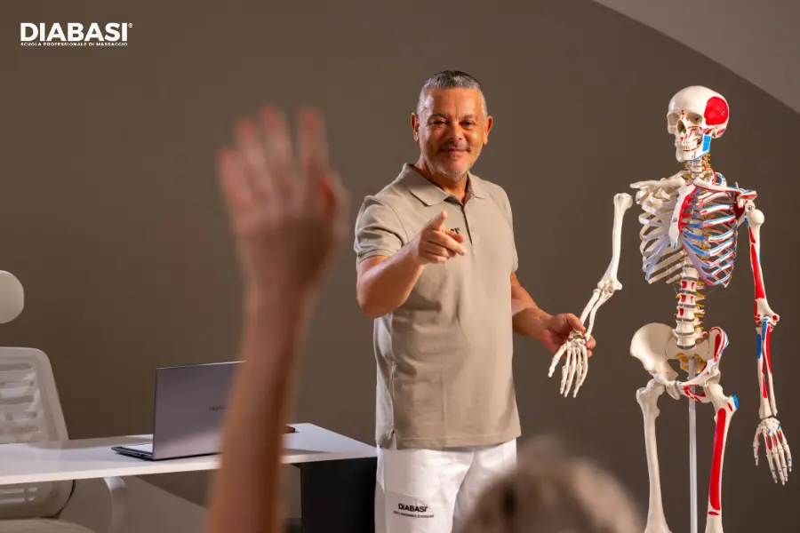 Docente DIABASI illustra le origini e le inserzioni muscolari su un modello di scheletro anatomico in aula.