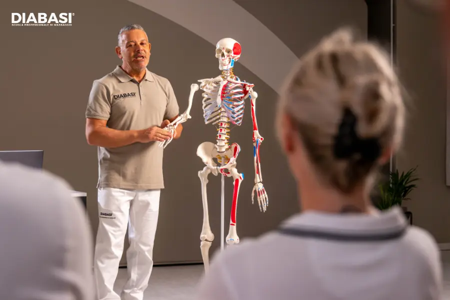 Docente DIABASI spiega l’anatomia di mano, polso e arto superiore utilizzando un modello anatomico.