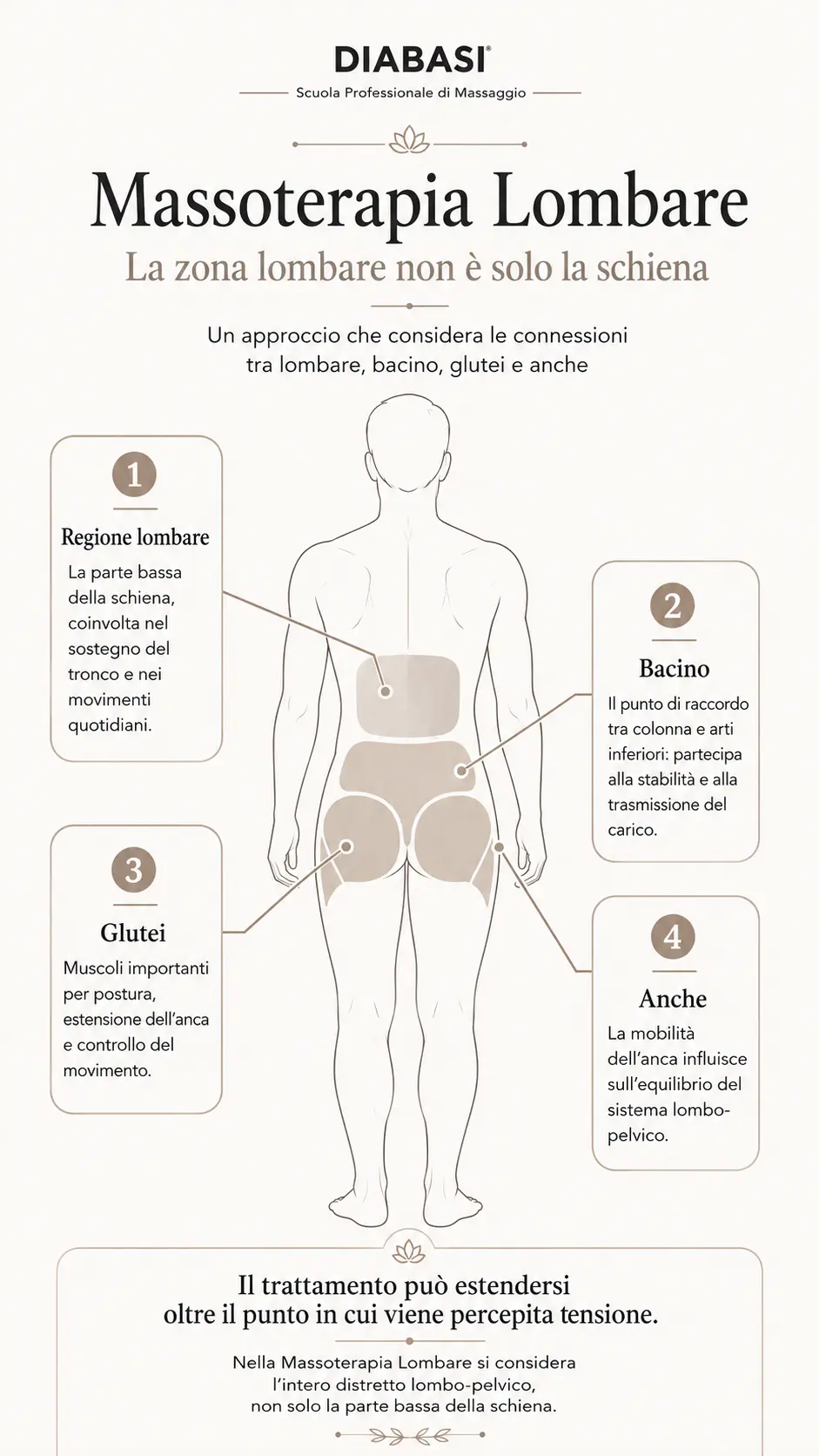 Infografica sulla Massoterapia Lombare e le relazioni tra regione lombare, bacino, glutei e anche