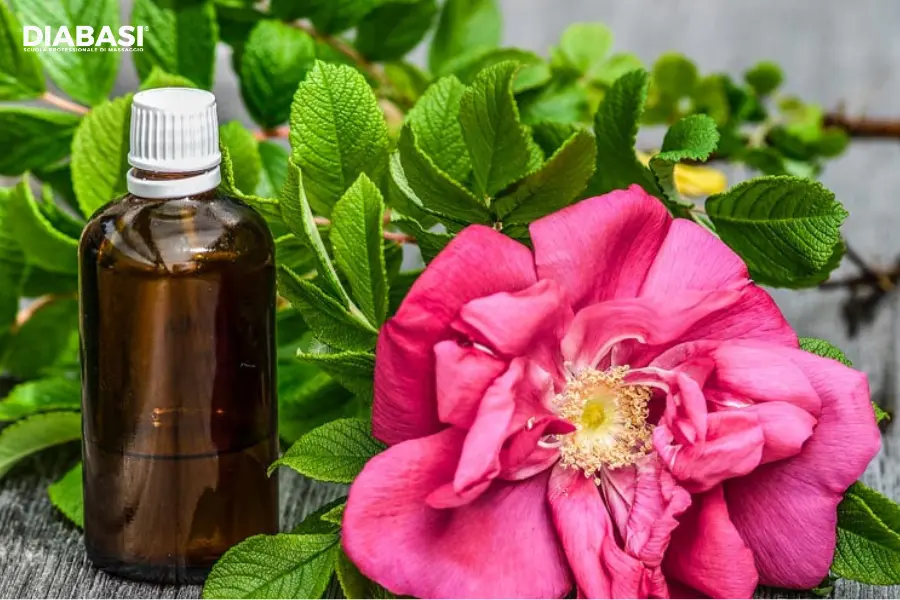 Flacone in vetro ambrato di olio di argan accanto a una rosa rosa e foglie verdi
